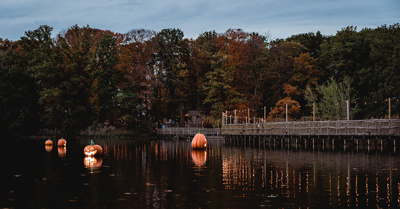 Pumpkins Bellewaerde Park.