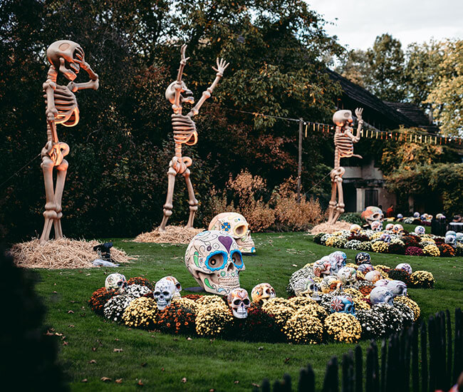 Skelettons in Bellewaerde Park.